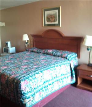 Shamrock Motel ホット・スプリングス 部屋 写真