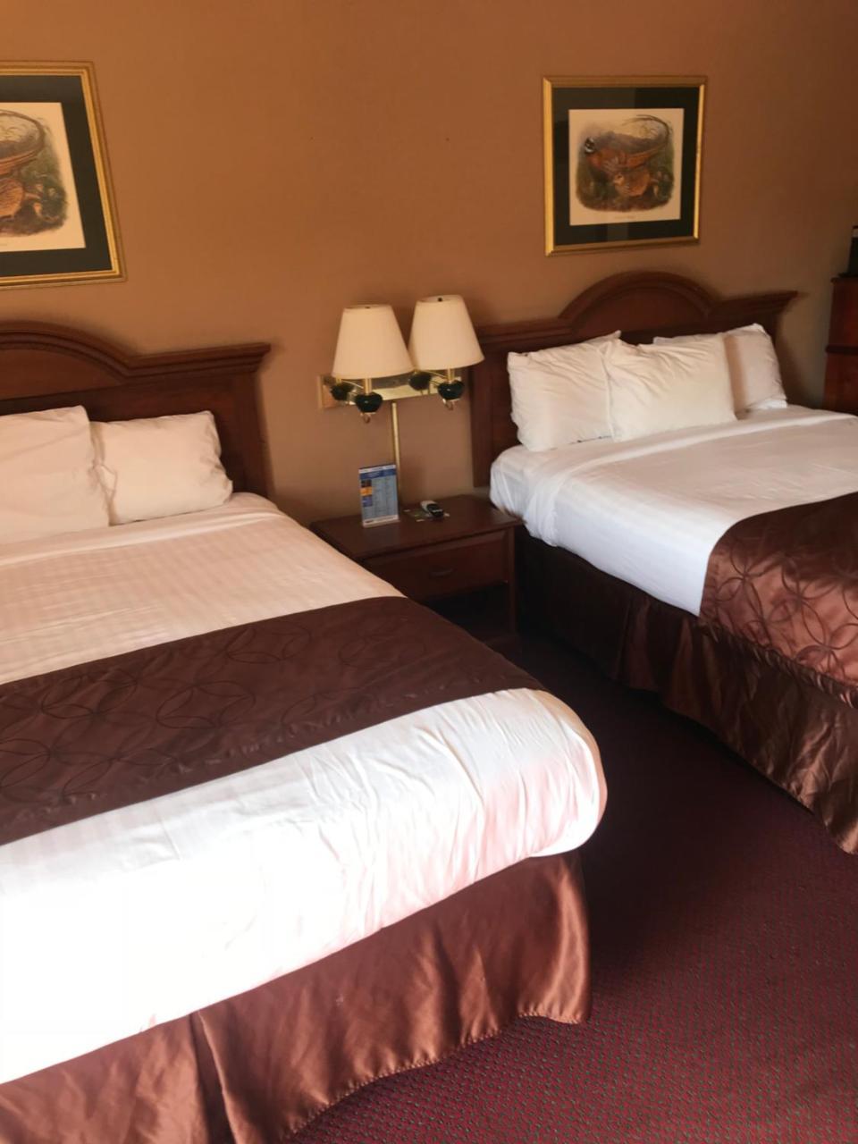 Shamrock Motel ホット・スプリングス エクステリア 写真
